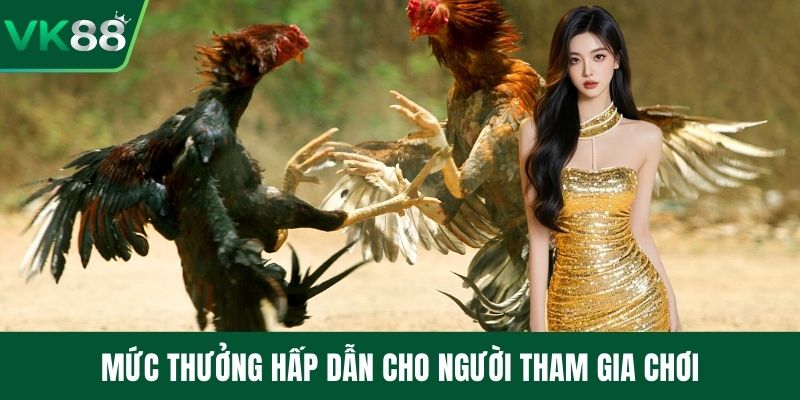 Mức thưởng hấp dẫn cho người tham gia chơi